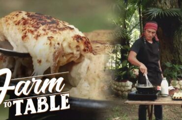 The Ultimate Mushroom Lasagna Rolls Recipe | Farm To Table