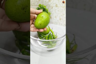 Summer Special आम की रेसिपी 😋 #shorts #recipe #pnmkatadka #cooking #achar #pickle #mangopickle #how