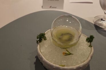 2026 05 12 19 47 18 Chef's Table on Carnival Splendor: https://www.cruiserookies.com/2026e11a.html