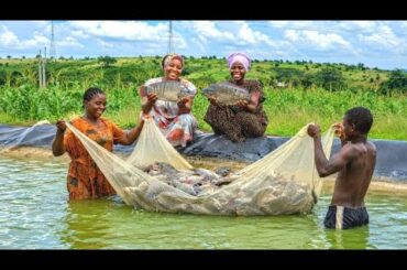 🌟 African Village Mom Huge Fish Harvest & Traditional Cooking