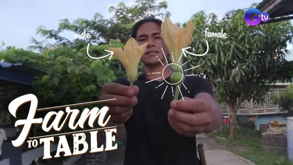 Bulaklak na pwedeng kainin, alamin! | Farm To Table