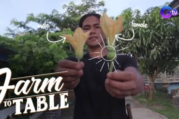 Bulaklak na pwedeng kainin, alamin! | Farm To Table