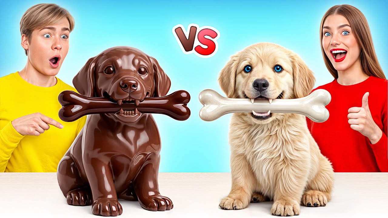 Real Food vs Chocolate Food Challenge | Funny Kitchen Moments by Multi DO Challenge Real Food vs Chocolate Food Challenge | Funny Kitchen Moments by Multi DO Challenge
