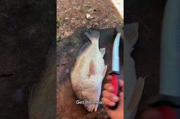 Cooking a spicy fish boil #fishing #cooking #outdoors #kastking