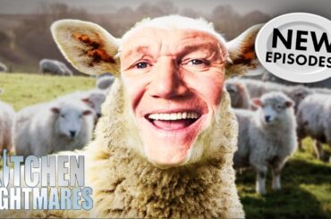 gordon’s feeling a bit sheepish in these restaurants 🐑 | NEW Kitchen Nightmares COMPILATION