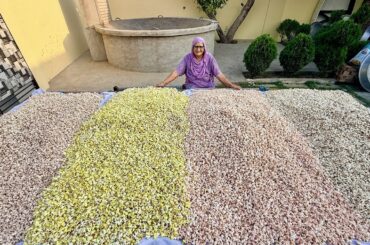 4 Flavored POPCORN Prepared By Granny | Veg Village Food