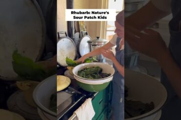 #cooking #homestead #ballerinafarm #farmlife
