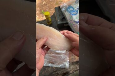 Cooking Asian catfish #fishing #cooking #outdoors
