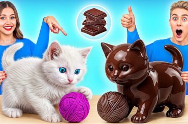 Real Food vs Chocolate Food Challenge | Awesome Culinary Recipes by Multi DO Challenge