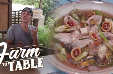 A Tangy Twist on Your Favorite Bangus Sinigang | Farm To Table