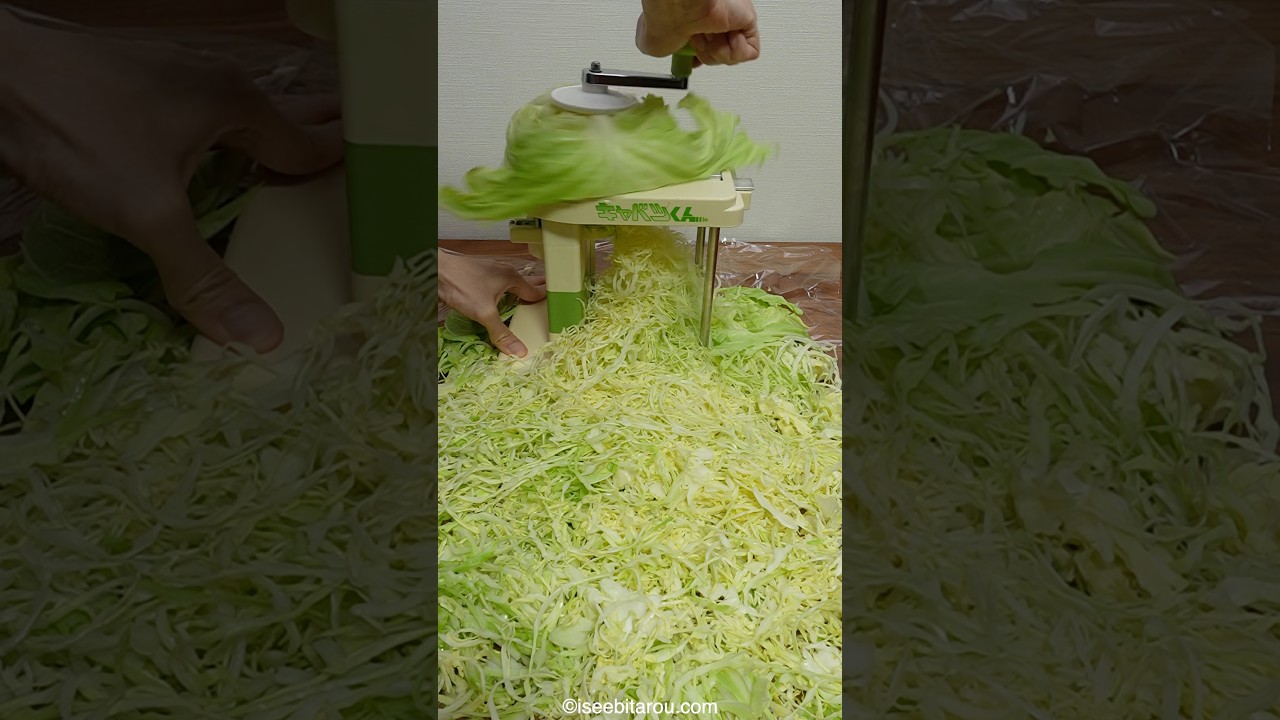 Cooking Japanese okonomiyaki with a cabbage slicer #cooking Cooking Japanese okonomiyaki with a cabbage slicer #cooking
