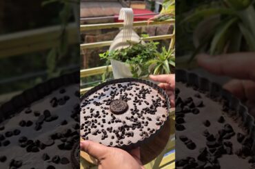Chocolate Tart🥰 #shorts #youtubeshorts #ytshorts #trending #viral  #cooking #chocolatetart #dessert