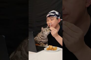 Cooking for my Tommy Cat