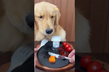 Who Says Fine Dining Is Only For Humans? 🐾🍽️😱 #shorts #viral #puppy #foryou