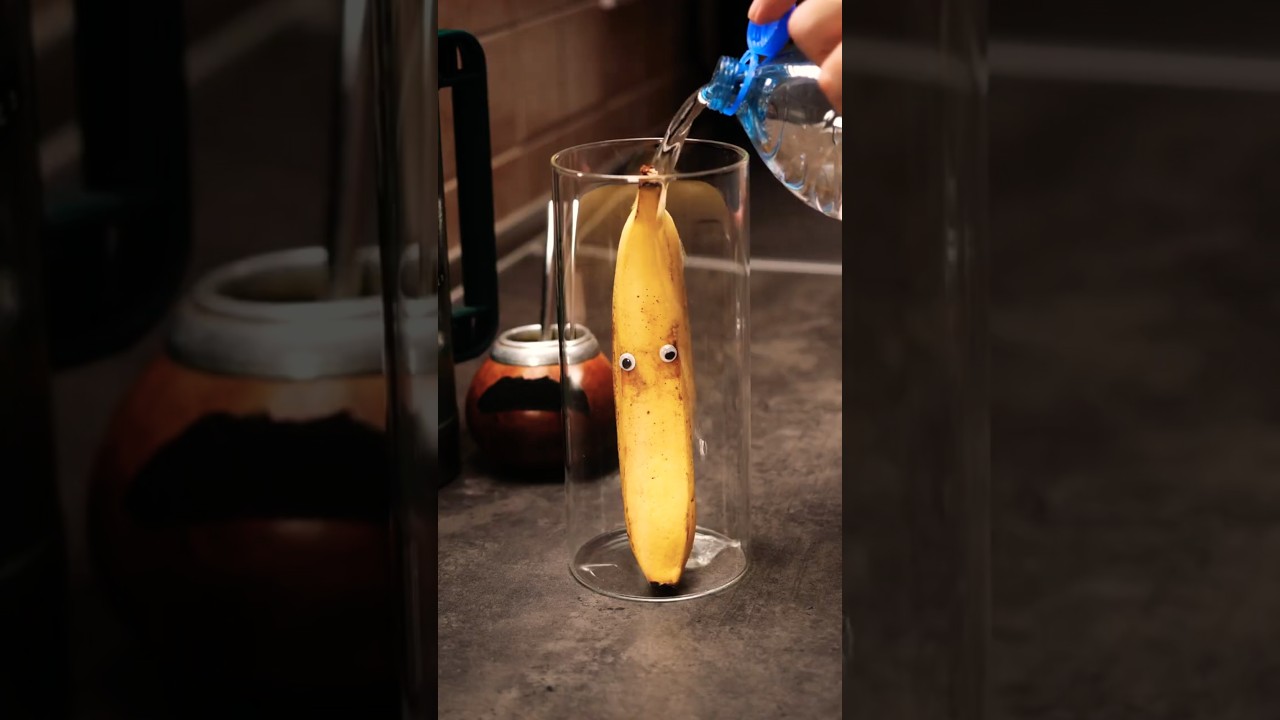I’M BACK!!! with crazy fruit lifehacks #cooking #science #vegan #funny #comedy #viral #viralshorts I'M BACK!!! with crazy fruit lifehacks #cooking #science #vegan #funny #comedy #viral #viralshorts