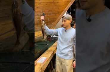 Is a Catch Your Own Food Restaurant Worth it? 😳