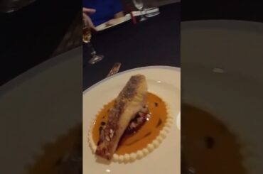 Full From Fine Dining in Belgrade #vlog #food