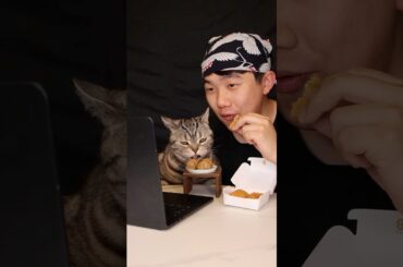 Cooking for my Tommy Cat
