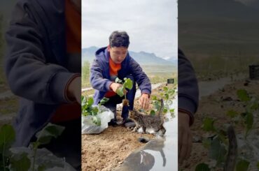 Uyghur Comedy - Uyghur Friends - Uyghur Village Life  #comedy #funny #nature #food #cooking #village