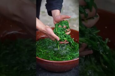 Dig wild vegetables to make delicious green rice balls! #cooking #food #rural #recipe