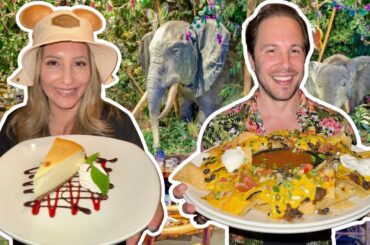 Animal Kingdom's Rainforest Cafe | Tourist Trap Or Worth It? Disney World Dining Series