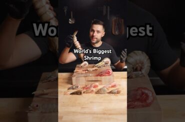 I Cooked Every EXOTIC Shrimp