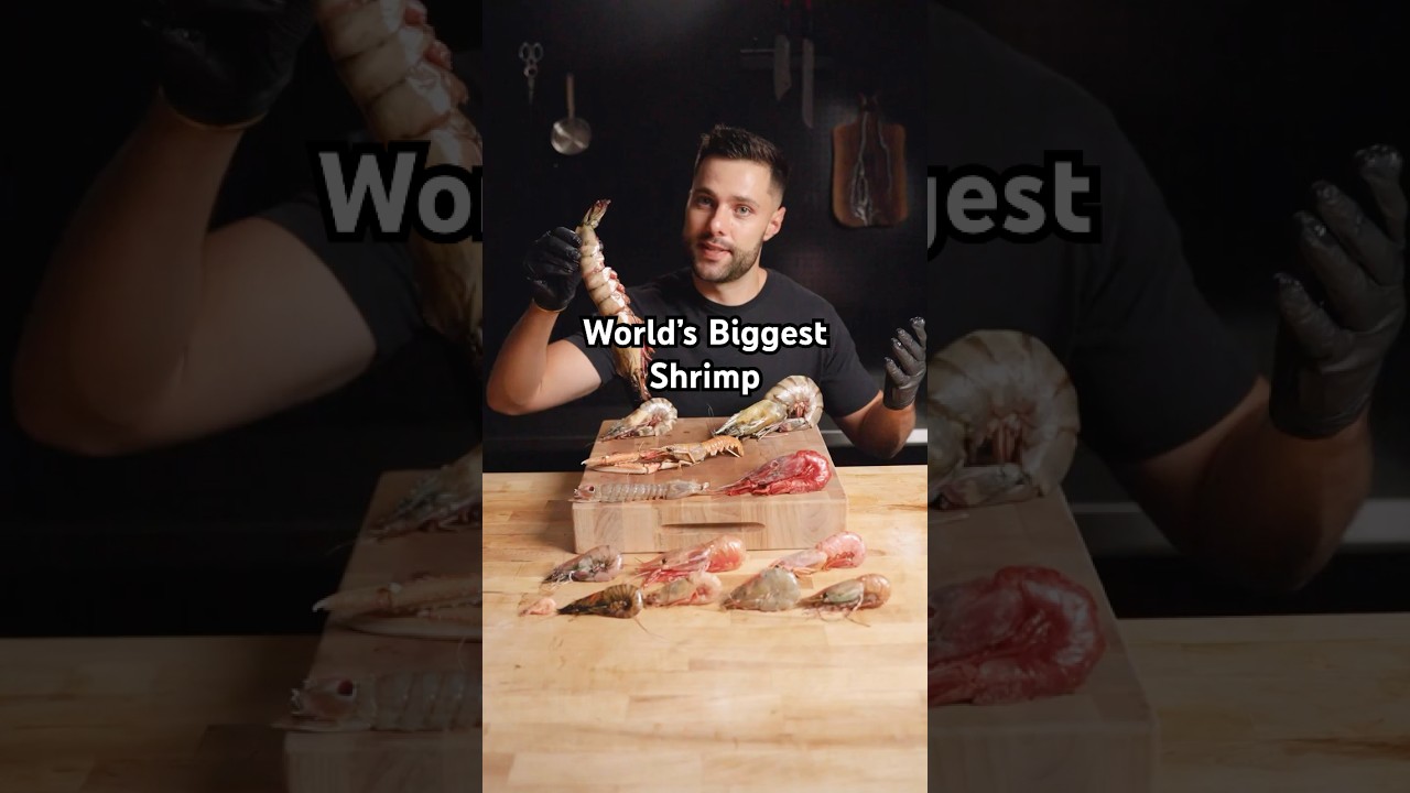 I Cooked Every EXOTIC Shrimp I Cooked Every EXOTIC Shrimp