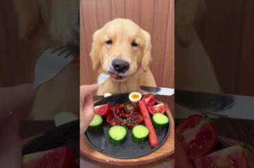 Cooper Gets the 5-Star Fine Dining Treatment! 🐾🍽️😱 #shorts #viral #puppy #foryou