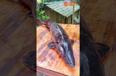 Giant Grilled Fish on Charcoal Fire! Ultimate Outdoor Cooking 🔥🐟 #shorts #amthuc #cookjoy #cooking