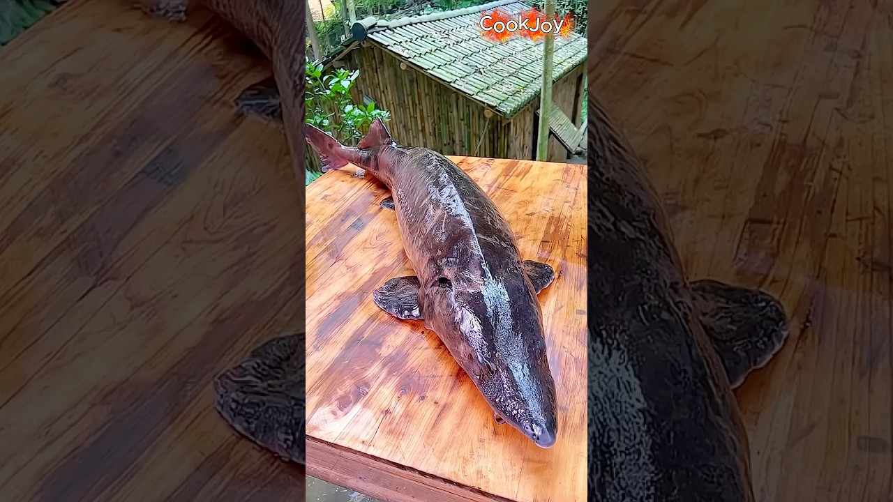 Giant Grilled Fish on Charcoal Fire! Ultimate Outdoor Cooking π₯π #shorts #amthuc #cookjoy #cooking Giant Grilled Fish on Charcoal Fire! Ultimate Outdoor Cooking π₯π #shorts #amthuc #cookjoy #cooking