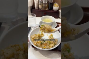 A succulent Chinese meal at a Japanese airport