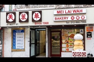 Mei Lai Wah Famous Pork Buns NYC Chinatown