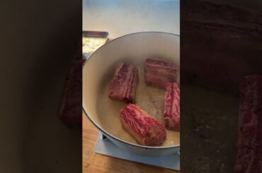 Short Rib Grilled Cheese! Recipe In bio!