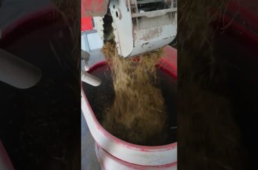 Fine dining for cows? 🐄