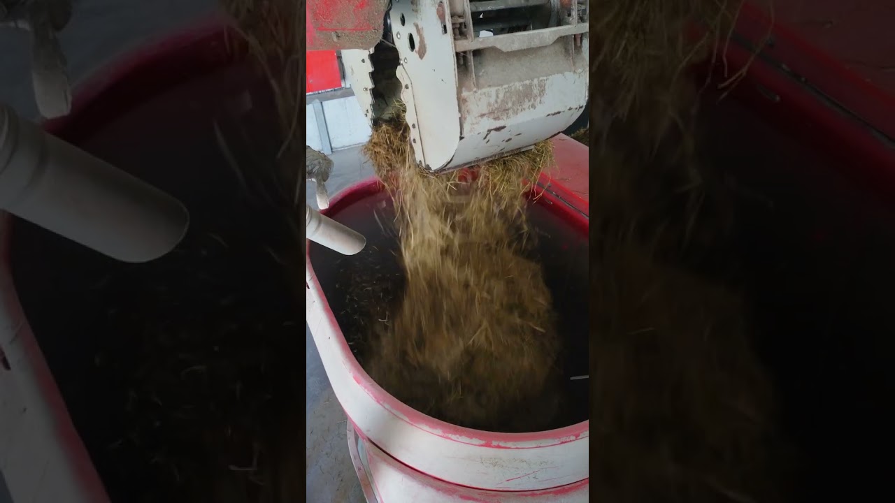 Fine dining for cows? đ Fine dining for cows? đ