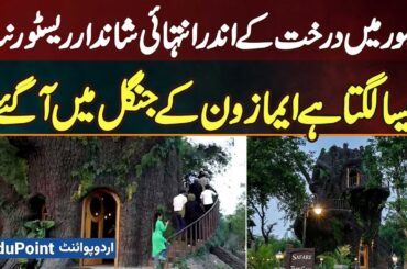 Safari Tree Cafe - Lahore's Stunning Restaurant Inside A Giant Tree | Feels Like Amazon Rainforest