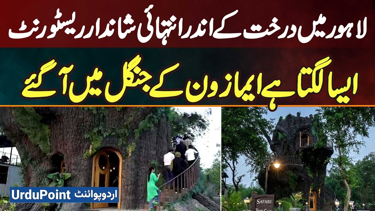 Safari Tree Cafe – Lahore’s Stunning Restaurant Inside A Giant Tree | Feels Like Amazon Rainforest Safari Tree Cafe - Lahore's Stunning Restaurant Inside A Giant Tree | Feels Like Amazon Rainforest