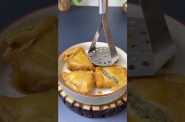 Samosa Party! Hundreds of Crores by making Indian Street Food Hygienic. #shorts #harshitsingh