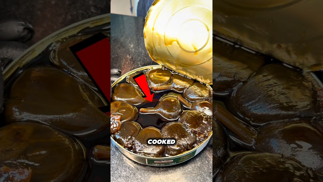 Tiny Black Dessert Costs HOW Much? π³π€ #FoodFacts #LuxuryFood Tiny Black Dessert Costs HOW Much? π³π€ #FoodFacts #LuxuryFood