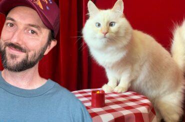 I Opened a Cat Restaurant