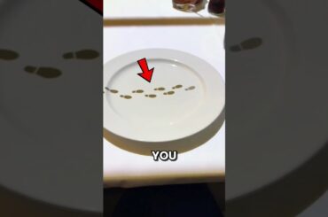 This Restaurant Projects A Tiny Chef Onto Your Plate 😱