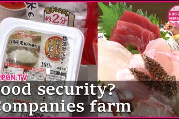 From restaurants to rice fields - why Japanese businesses are growing their own food