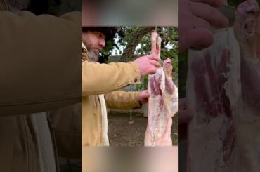 Stuffed Fish Cooking: From Preparation to Serving