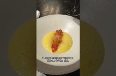 Best NYC fine dining restaurant!