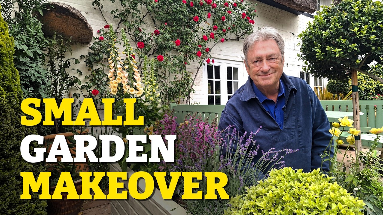 The Ultimate Small Garden Makeover: An Outdoor Dining Room Anyone Can Create! The Ultimate Small Garden Makeover: An Outdoor Dining Room Anyone Can Create!