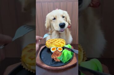 My Dog’s Fine Dining Experience! 🐶🍽️😱 #shorts #viral #puppy #foryou