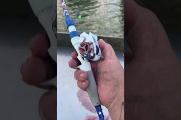 Cooking a stingray #fishing #cooking #outdoors #kastking