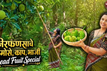 निरफणसाचे समोसे, काप, भाजी | Bread Fruit Special | Village Cooking | Red Soil Stories