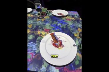 Tiny Chef Predicts Your Food Arrival 🍽️👨‍🍳