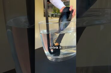Why Restaurants Open Fancy Wine In Water